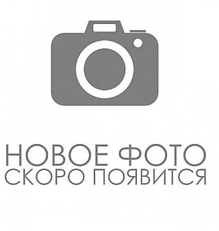 net foto